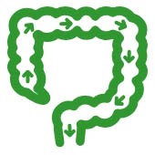 دواء بروبيوتيك للرضع 